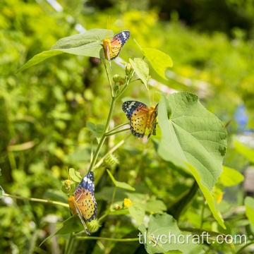 Christmas butterfly na puno